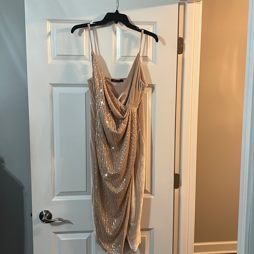 Dress for weddings or fancier occasion. Dress was worn once for 5 hours.